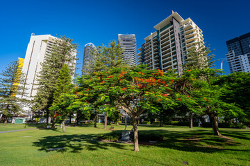 Fototapeta na wymiar Broadbeach skyline as seen from Victoria Park, Gold Coast, Australia