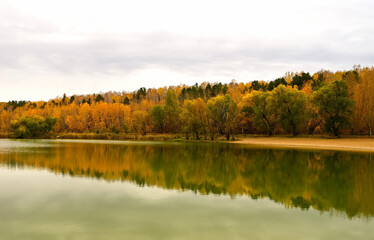 Autumn forest on a small island. Reflection of orange and green trees in the lake.