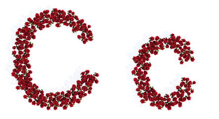 Concept or conceptual set of beautiful blooming red roses bouquets forming the font C. 3d illustration metaphor for education, design and decoration, romance and love, nature, spring or summer.