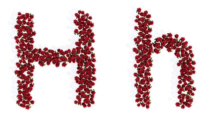 Concept or conceptual set of beautiful blooming red roses bouquets forming the font H. 3d illustration metaphor for education, design and decoration, romance and love, nature, spring or summer.