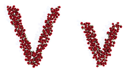 Concept or conceptual set of beautiful blooming red roses bouquets forming the font V. 3d illustration metaphor for education, design and decoration, romance and love, nature, spring or summer.