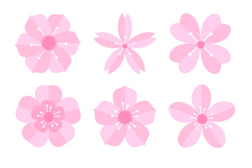 sakura flower petals set