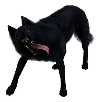 Illustration of a black wolf with tongue out snarling looking forward isolated on a white background.