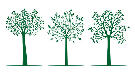 Set Green Trees. Vector outline Illustration. Plant and Garden.