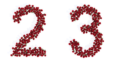 Concept conceptual set of beautiful blooming red roses bouquets forming the fonts  2 and 3. 3d illustration metaphor for education, design and decoration, romance and love, nature, spring or summer.