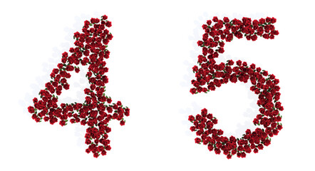 Concept conceptual set of beautiful blooming red roses bouquets forming the fonts  4 and 5. 3d illustration metaphor for education, design and decoration, romance and love, nature, spring or summer.