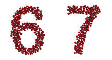 Concept conceptual set of beautiful blooming red roses bouquets forming the fonts  6 and 7. 3d illustration metaphor for education, design and decoration, romance and love, nature, spring or summer.