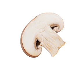 Champignon Mushroom isolated on  transparent png