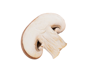 Champignon Mushroom isolated on  transparent png