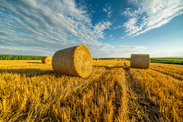 Golden fields, bales of wheat rolling through the landscape like a sea of treasure as the sun sets...