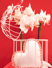 Composition pour la Saint-Valentin avec un cœur blanc et rouge dans une cage à oiseau et des bougies.	