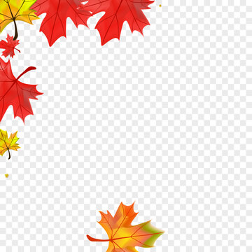 Ocher Foliage Background Transparent Vector. Plant Nature Template. Orange Bright Leaf. Pattern Leaves Card.