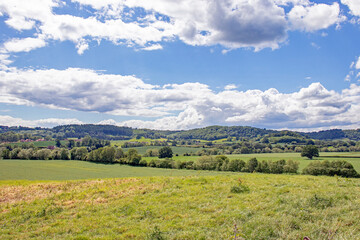 Fototapeta na wymiar Summertime fields and meadows in England.