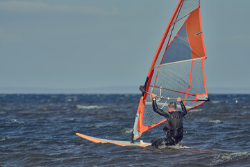 Fototapeta premium Mature Male windsurfer in a wetsuit jumps on a sailboard and starts surfing.