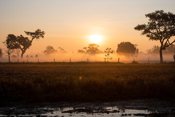 sunrise over the lake