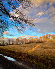 autumn meadow with sky