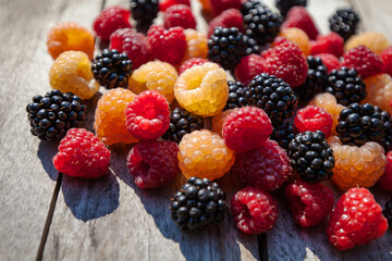 Berries of yellow and red raspberries and blackberries.