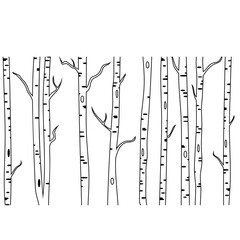 Birch tree icon vector. Forest illustration sign. Trees symbol or logo.