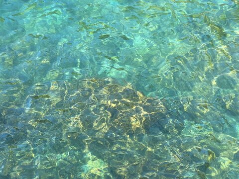 Amazing fresh clear sea water background.