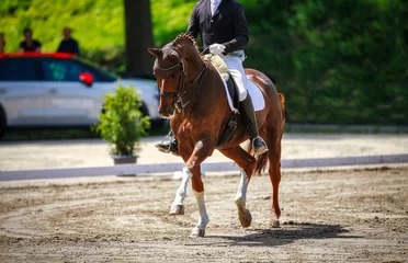 Gordijnen Dressage horse with rider in the dressage task gathering with front leg raised at a trot.. © RD-Fotografie