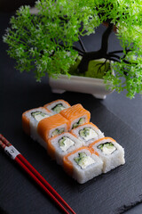 Sushi rolls Japanese food menu