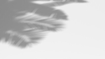 3D render background shadow overlay