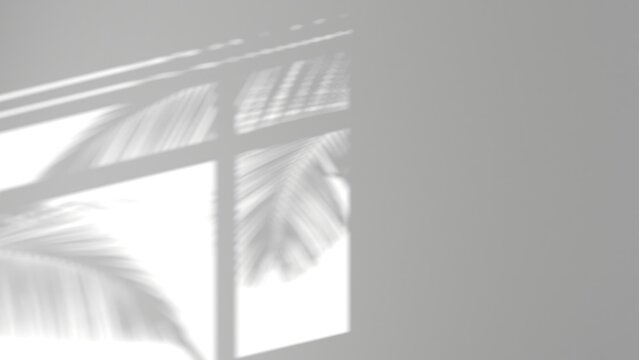 3D render background shadow overlay