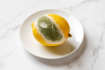 Spoiled lemon on a white plate. Green fungal mold on a rotten citrus macro. Whole yellow lemon fuit...