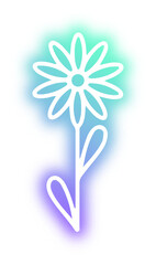 Collection of Flower neon