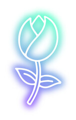Collection of Flower neon