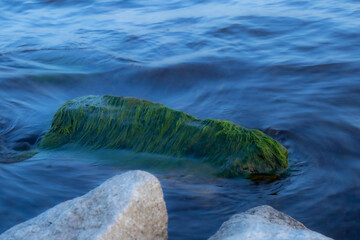 zielona skała we wodzie
