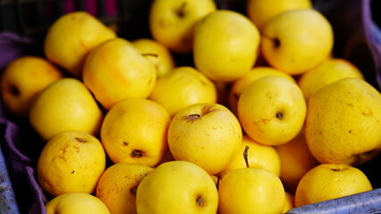 yellow apple Close up view of apple