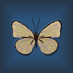Fototapeta na wymiar Vector illustration of yellow butterfly on blue background. Exotic bright insect.
