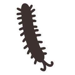 centipede