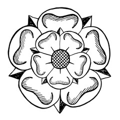 White Yorkshire rose motif, symbol for the Yorkshire region. Vector illustration in an ink pen, hand drawn, engraving style. - obrazy, fototapety, plakaty