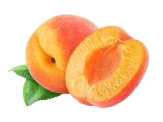 Isolated cut apricots