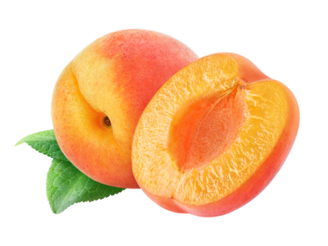 Isolated cut apricots