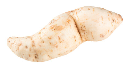 Fresh sweet potato png transparent background