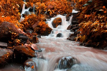 This is a beautiful photo of a stream of water flowing in a river in the village area.