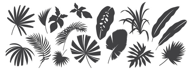 Abstract foliage elements isolated on a white background. Tropical leaves set. Collection of black and white graphic silhouettes.  © Anna Sm