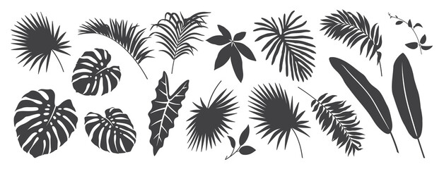 Fototapeta premium Abstract foliage elements isolated on a white background. Tropical leaves set. Collection of black and white graphic silhouettes. 