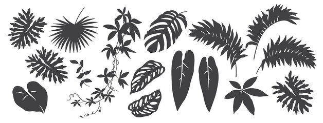 Abstract foliage elements isolated on a white background. Tropical leaves set. Collection of black and white graphic silhouettes. 