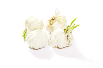 Garlic Isolated on white background