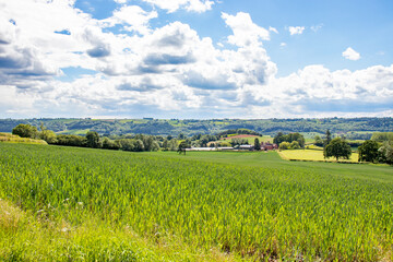 Summertime fields and meadows in England.