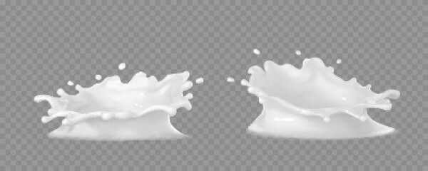 Milk crown splashes isolated on transparent background. Vector realistic milk splash.
