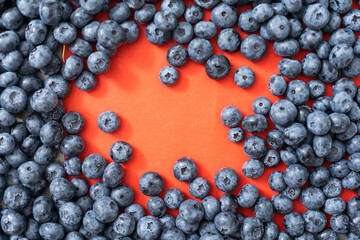 large blueberry on a red background