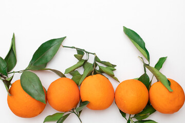 Fresh oranges with green leaves