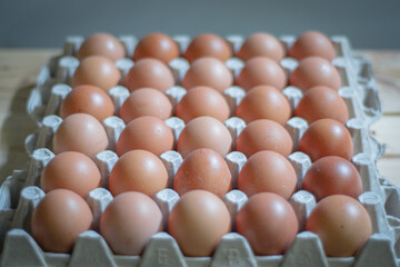Fresh eggs. Consumer issue of the price of fresh chicken eggs is expensive in the market