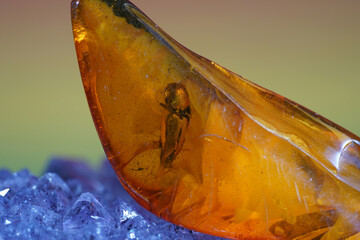 closeup of a piece of amber on a white background and reflection