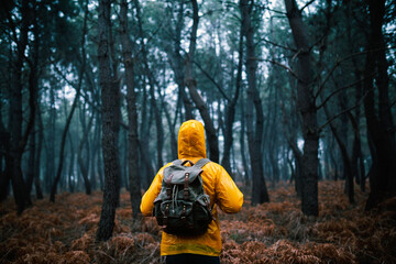 Unrecognizable person in outerwear standing in woods